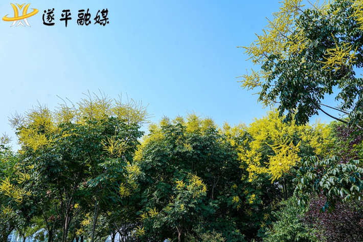 DSC09485 拷貝.jpg