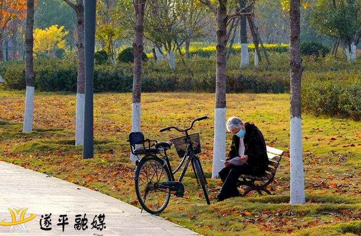 老人在公園讀報.jpg