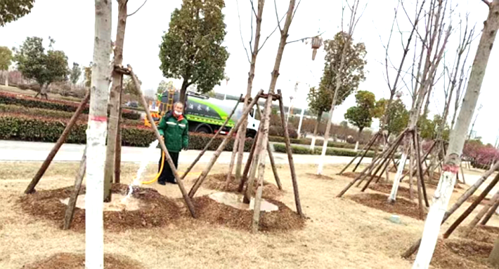 春暖花開好時節 補植增綠在行動——遂平縣園林綠化中心補植補栽簡報178.png