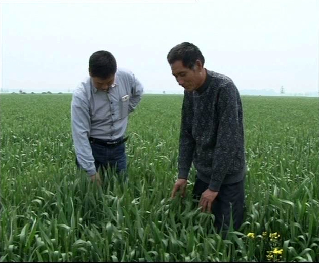 遂平：實施小麥一噴三防 確保糧食安全增產